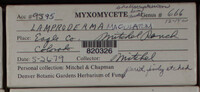 Image Associated With the Occurence